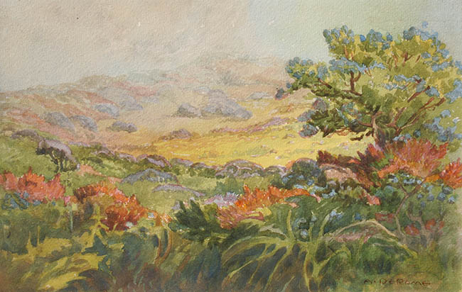 Albert De Rome - ABove Fresh Water Lagoon